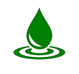 wash loan
